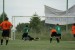 DSC00017.jpg