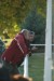 DSC00046.JPG
